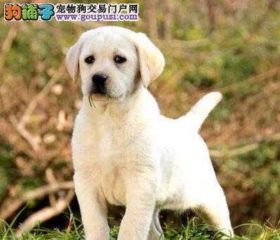 ‘AG亚娱集团官方’立足智能服务 联想新视界用新技术助力智能制造(图2) ag亚娱官网