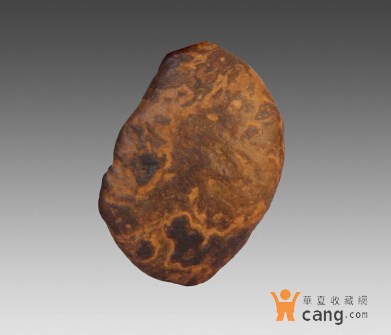 倍福AMP8000:分布式伺服驱动系统_ag亚娱官网(图3) AG亚娱集团官方