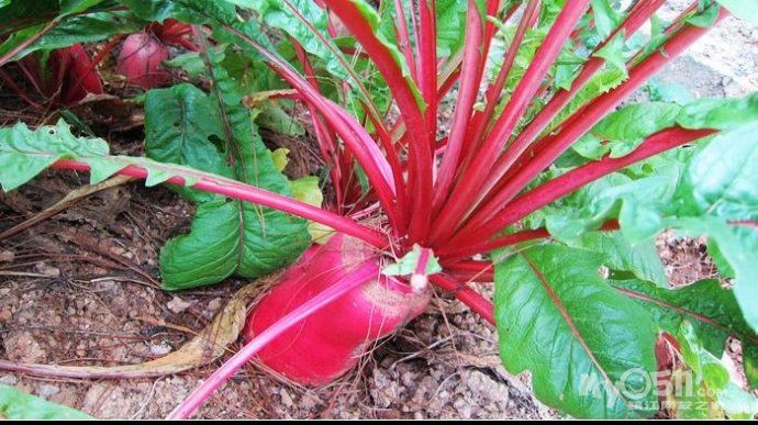 中山一企业采用机器人提升工厂装备:AG亚娱集团官方(图2) AG亚娱集团官方