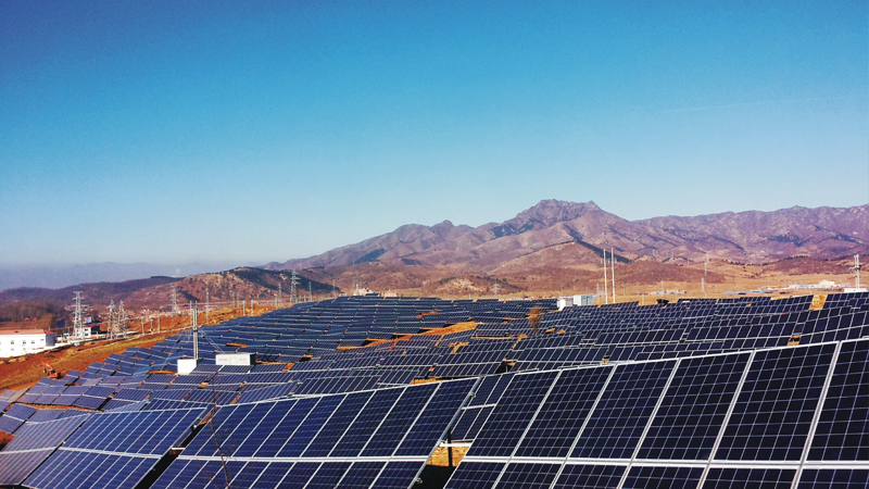 【AG亚娱集团官方】吴镇宇谈曹格 还不知道怎么答复(图3) AG亚娱集团