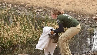 “AG亚娱集团”成华特校开展爱国主义教育活动(图3) AG亚娱集团