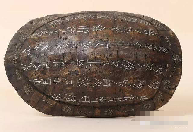 ag亚娱官网|实践中成长科华中路小学开展研学节暨社会实践活动课程(图2) AG亚娱集团官方