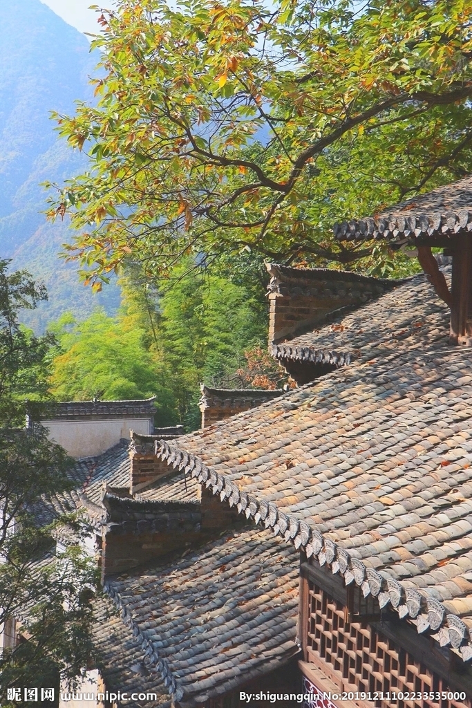 孩子未上幼儿园妈妈就花两万多报数学班‘AG亚娱集团官方’(图2) AG亚娱集团