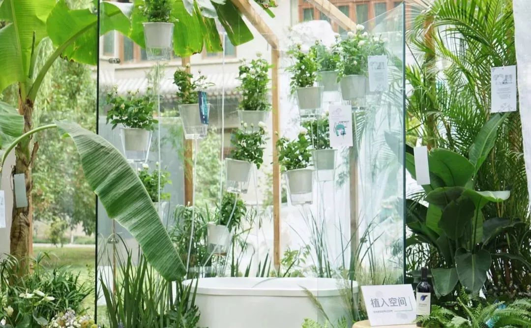 全国将开展"反对药物滥用"宣讲活动‘AG亚娱集团官方’(图2) AG亚娱集团官方