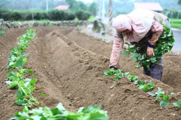 AG亚娱集团官方