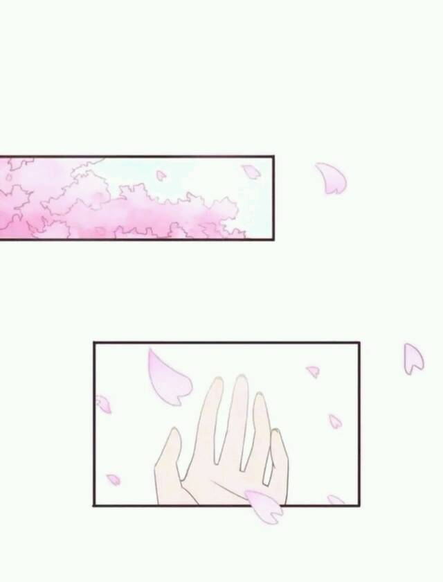 房祖名13日凌晨获释 为躲记者闯红灯|AG亚娱集团官方(图2) AG亚娱集团官方