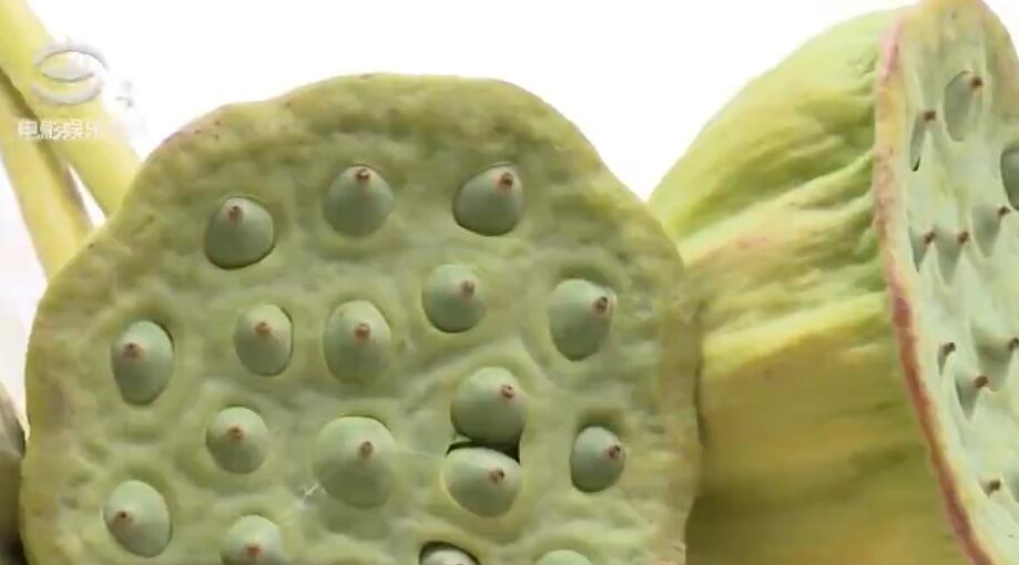 议:教科书使用作品不再免费:ag亚娱官网(图2) AG亚娱集团