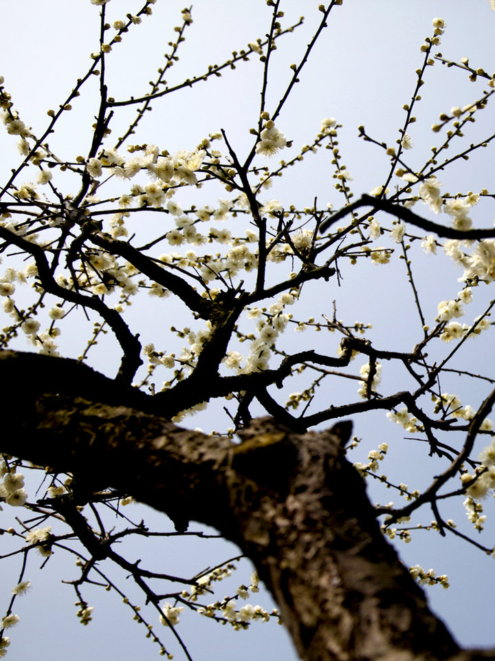 AG亚娱集团官方-赵雅芝20年前亲子照首度曝光 不老女神与现在无差异(图2) AG亚娱集团