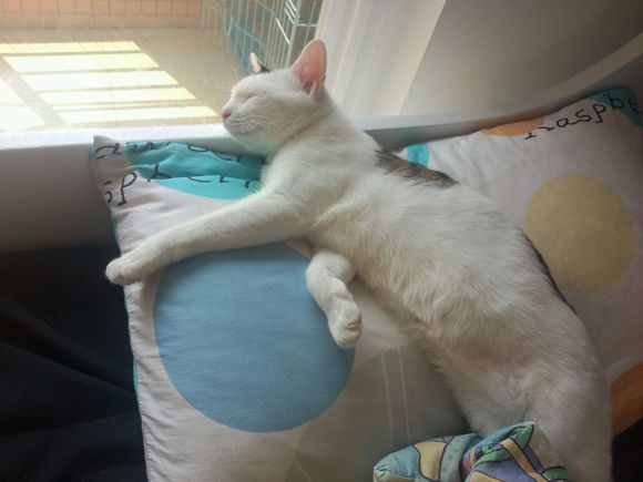 经常涂口红好吗 经常涂口红对身体有什么伤害?【AG亚娱集团官方】(图3) AG亚娱集团