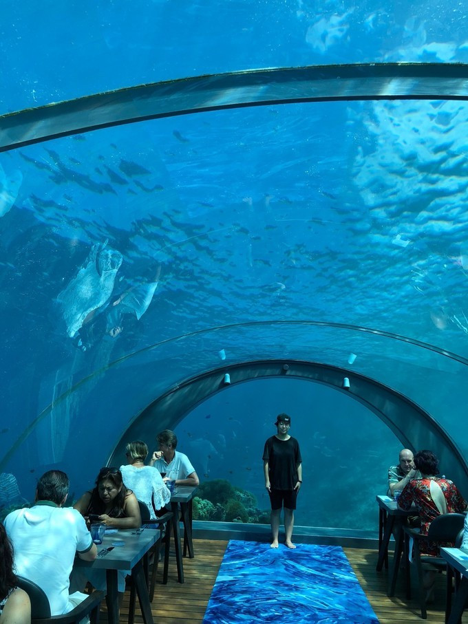 AG亚娱集团官方-安眠药可引起梦游驾车、做饭和吃东西(图1) AG亚娱集团