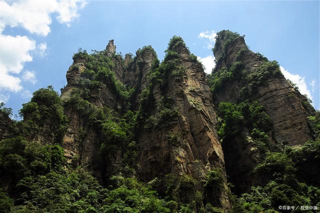 【AG亚娱集团】舞阳县示范幼儿园开展交通安全宣传教育活动(图4) AG亚娱集团官方