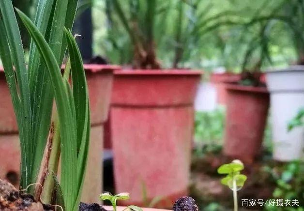 《2017中国制造强国发展指数报告》正式发布【ag亚娱官网】(图2) ag亚娱官网