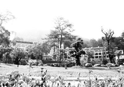 ag亚娱官网-《怪物》陈柏霖露脸收视立涨 巴厘岛浪漫延续(图2) AG亚娱集团