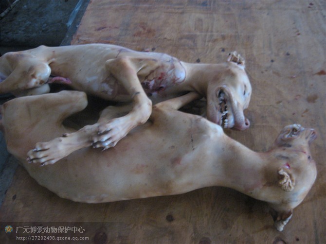 A-Lin“声吶世界巡演”内地首战上海 门票完售引发“连锁效应”_AG亚娱集团(图3) ag亚娱官网