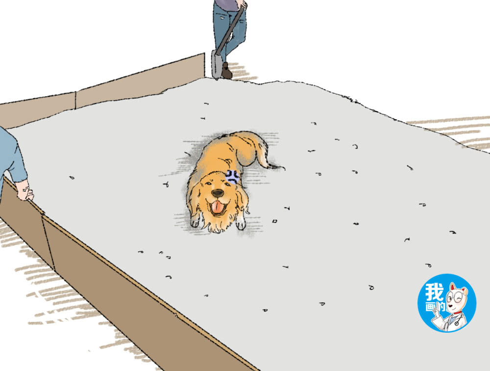 ‘AG亚娱集团’传刘嘉玲安检被扣留私密物 微博怒斥(图1) ag亚娱官网