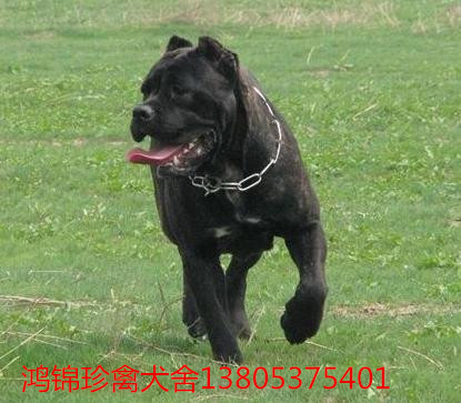 成都市泡桐树幼儿园接受高新区卫生工作交叉检查|AG亚娱集团(图1) AG亚娱集团官方