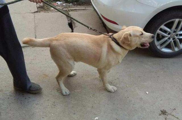 航天小学开展“世界爱眼日”主题教育活动【AG亚娱集团官方】(图1) ag亚娱官网