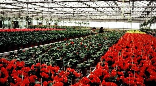 林志颖晒光头半裸照 童颜看起来像小朋友_AG亚娱集团(图1) AG亚娱集团官方