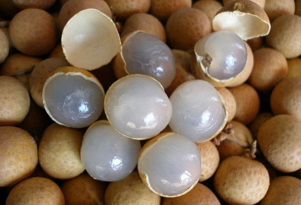 病人家属不满医生态度挥拳伤人‘AG亚娱集团官方’(图1) ag亚娱官网