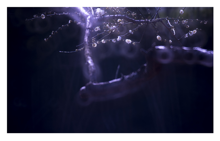 美国男子舌头宽8.3厘米破世界纪录【AG亚娱集团官方】(图1) AG亚娱集团