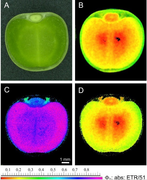 AG亚娱集团官方