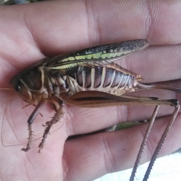 AG亚娱集团官方