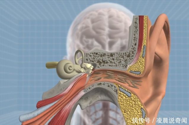 PTC Kepware为CNC和注塑机数据安全护航“ag亚娱官网”(图3) AG亚娱集团