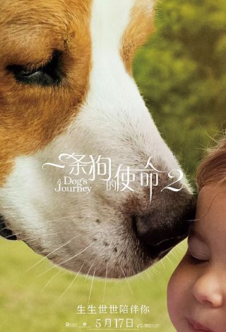 ag亚娱官网|王菲谢霆锋十指紧扣 天后见爱郎甜笑(图2) AG亚娱集团