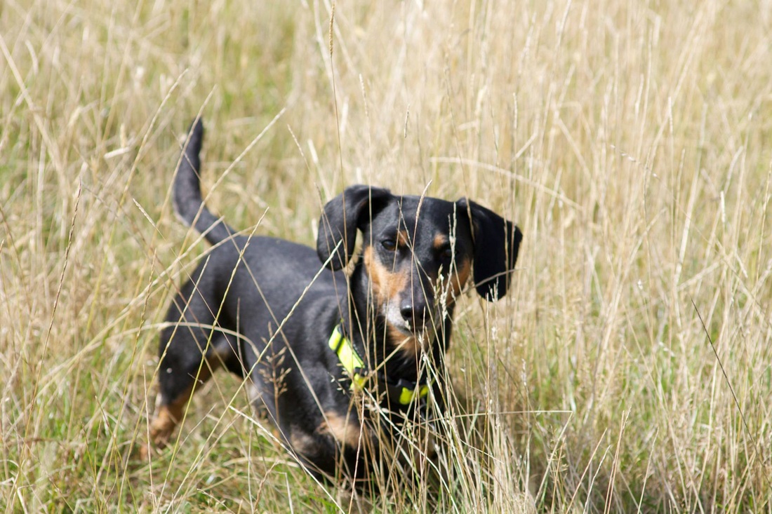 AG亚娱集团_畅销廉价药悄然“退市”医院因提成选择高价药(图1) ag亚娱官网