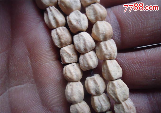 AG亚娱集团|吃哪些蔬菜最补血-贫血症状又是什么?(图2) ag亚娱官网