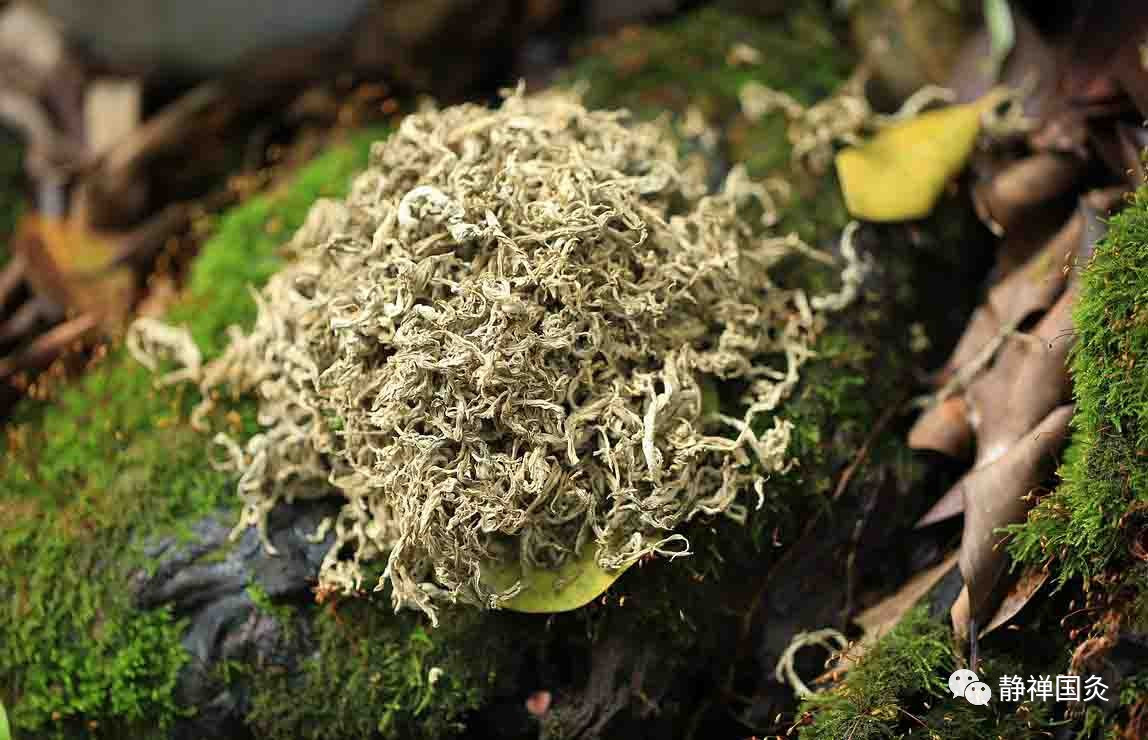 淅川县大石桥乡中心幼儿园:“文化大餐”助力脱贫攻坚‘ag亚娱官网’(图1) AG亚娱集团官方