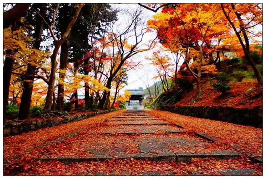 ‘ag亚娱官网’刘畊宏被曝陷财务危机 价值240万的房产被查封(图1) AG亚娱集团官方