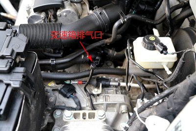 ag亚娱官网_大爱音乐节被爆亏本欠款 罗大佑陷纠纷被滞留(图4) AG亚娱集团