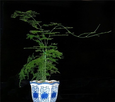 AG亚娱集团官方