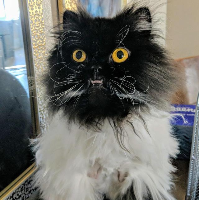 AG亚娱集团官方