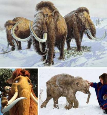 AG亚娱集团官方