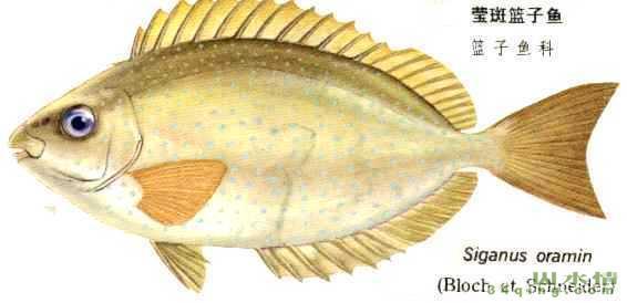 AG亚娱集团官方