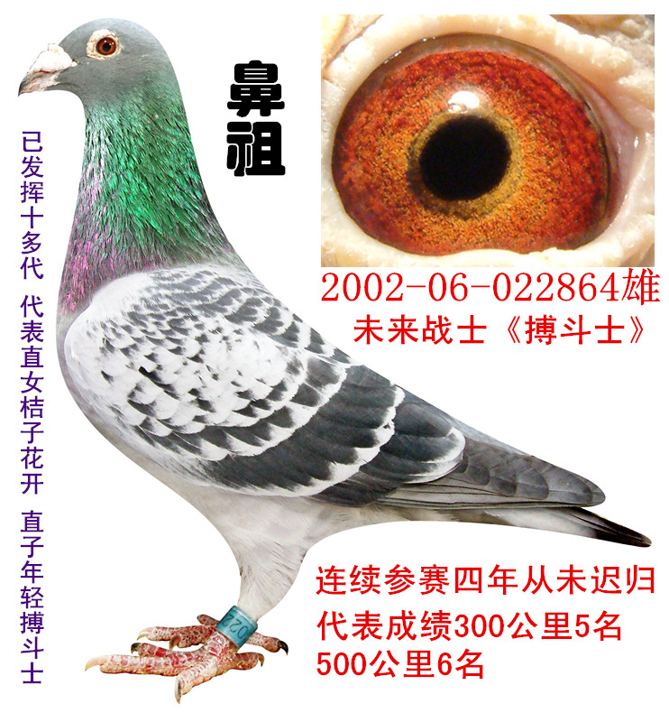 ag亚娱官网-张韶涵新歌成绩疑造假 两粉丝用69台电脑帮冲榜(图3) AG亚娱集团