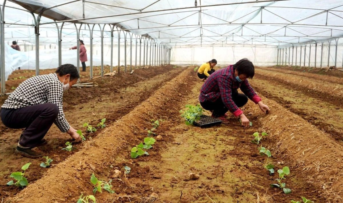AG亚娱集团官方_秒拍风云客第五届金花奖颁奖典礼在香港隆重举行(图4) AG亚娱集团