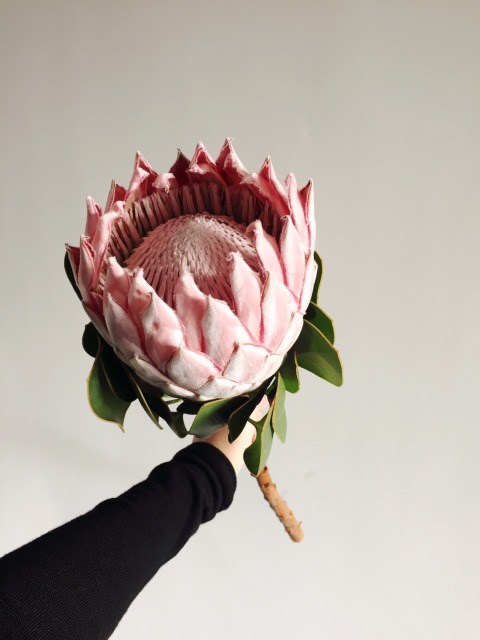 AG亚娱集团官方