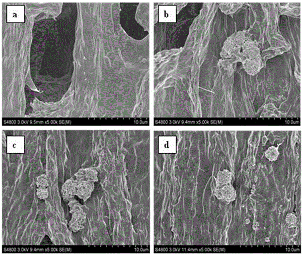 AG亚娱集团官方