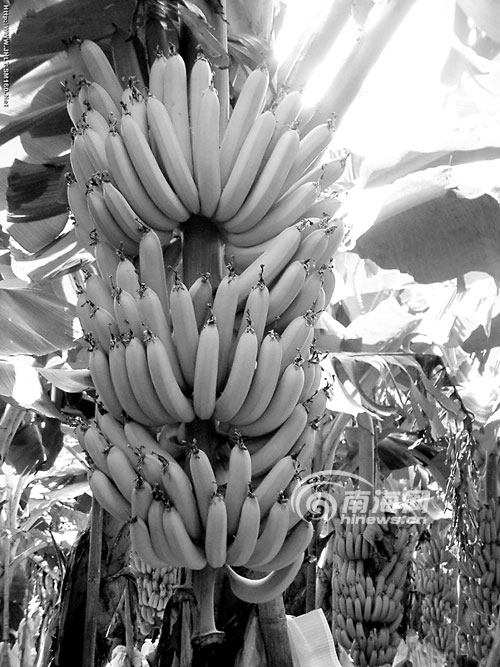 AG亚娱集团官方