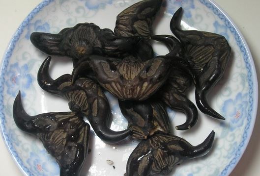 AG亚娱集团
