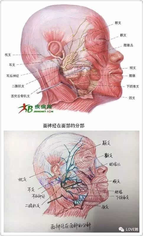 ag亚娱官网