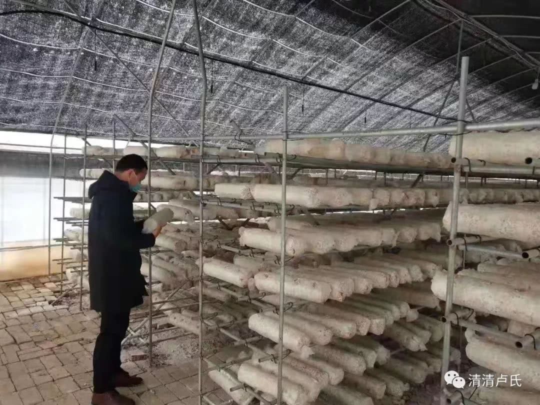 “AG亚娱集团”健忘吃什么好 多吃这些食物增强记忆(图1) AG亚娱集团