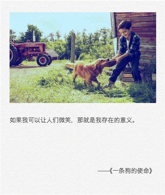 “ag亚娱官网”阿娇回应老公疑似出轨:这个热闹我们不凑了(图3) ag亚娱官网